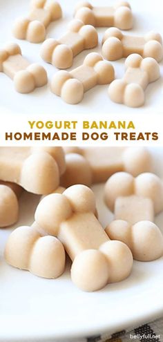 yogurt banana homemade dog treats on a white plate with text overlay that reads yogurt banana homemade dog treats