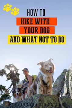 a man and two dogs sitting on top of a rock formation with the words how to hike with your dog and what not to do