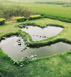 a heart shaped pond surrounded by water lilies in the middle of a green field