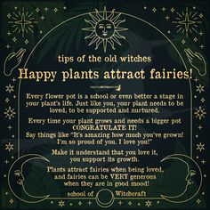 Attract Fairies, Magical Recipes, Garden Simple, Magic Charms, Green Witchcraft, Green Magic