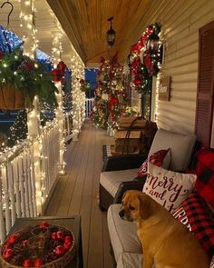 a dog is sitting on the porch with christmas decorations