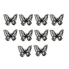 black and white butterflies on a white background