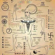 an image of the human body with all its main parts and their names on it