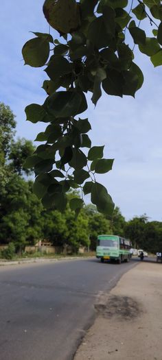 a green bus driving down a street next to trees