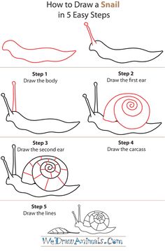 how to draw a snail step by step instructions for children and adults in easy steps