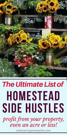 the ultimate list of homestead side hustles from your property, even an acer or less