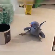 a blue bird sitting on top of a counter next to a coffee cup with its beak open