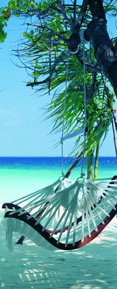 a hammock hanging from a tree on the beach