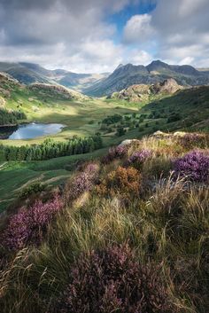 the mountains are covered in green grass and purple wildflowers under a cloudy sky