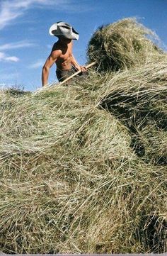 a man with a straw hat on top of a pile of hay