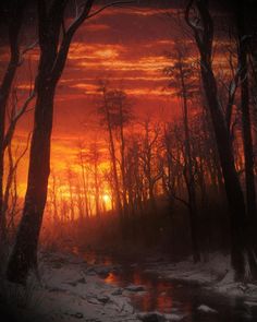 the sun is setting behind some trees in the snow covered forest with water running through it