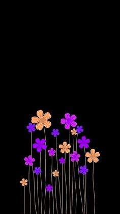 purple and orange flowers against a black background