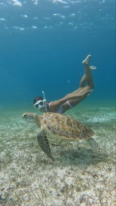 Swimming with sea turtle on tropical vacation Summer Bucket Lists, Ocean Girl, Hawaii Life, Ocean Vibes, Summer Goals, Summer Bucket, Summer Feeling, Summer Dream, Summer Photos