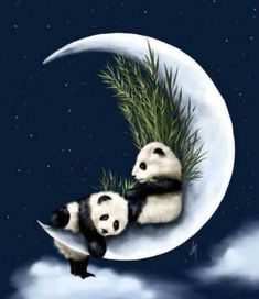 two panda bears are sitting on the moon