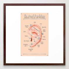 a diagram of the human ear and its corresponding parts framed in a black wooden frame