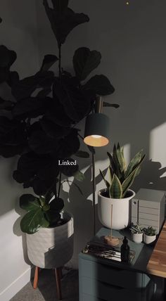 two potted plants sitting on top of a wooden table next to a wall mounted lamp