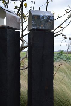 two metal posts in front of a tree with grass and sky in the back ground