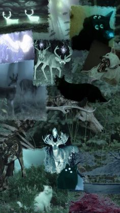 a collage of images with animals and deers in the woods at night time