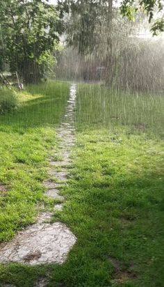 a rain shower in the middle of a grassy area with stepping stones and trees on either side