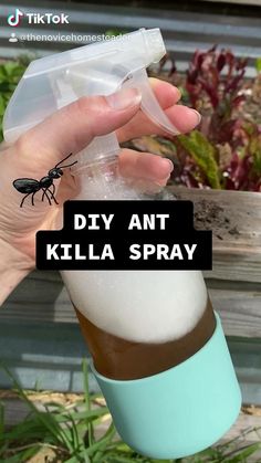 a hand holding an insect in a cup with the words diy ant killa spray