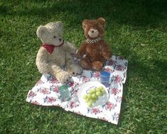 two teddy bears are sitting on a picnic blanket with grapes and water in front of them