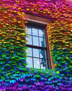 the window is covered in colorful paper flowers