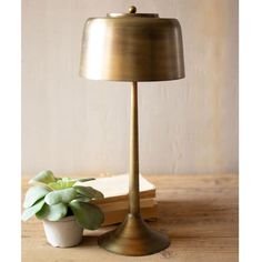 a small potted plant sitting next to a lamp on a wooden table in front of a book