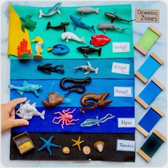 a child's hand is pointing at the ocean animals and seashells on a felt board