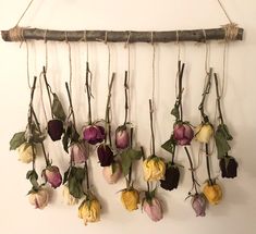 several dried flowers hanging from a rope on a wall with leaves and twigs attached to it
