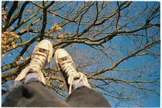 a person standing in front of a tree with their feet up on the ground and looking up into the sky