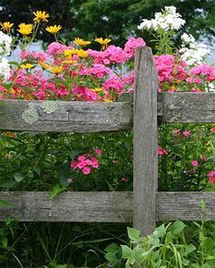 a wooden fence surrounded by colorful flowers