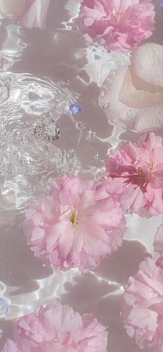 pink flowers floating in water next to each other