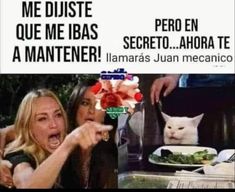 a woman pointing at a cat with her mouth wide open and the caption reads me distite que me ibas segreo en mantener