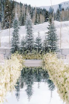 white flowers are growing on the side of a body of water in front of snow covered mountains