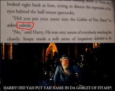 an image of a page from harry potter with the caption's name in red