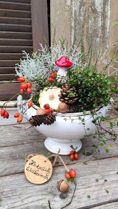 a white bowl filled with lots of different types of plants and berries on top of a wooden table