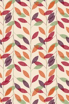 colorful leaves on a white background with red, green and orange colors in the middle