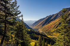 a scenic view of the mountains and trees in autumn with colorful foliage on both sides