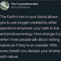 an image of the earth's iron in your blood allows you to use oxygen created by other species to empower your cells to live and produce energy how strange it is