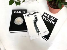 three new york books sitting on top of a table next to a potted plant