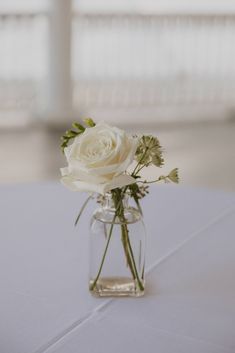 a white rose in a glass vase on a table