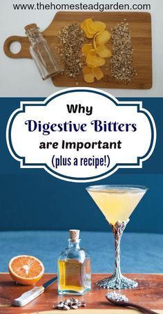 Why Digestive Bitters are Important (plus a recipe and a book review!) #digestivebitters #naturalremedy #herbalremedy #bookreview Digestive Bitters, Bitters Recipe, Cold Sores Remedies, Herbal Healing, Natural Cold Remedies, Herbal Infusion, Cold Home Remedies, Cold Remedies, Healing Herbs