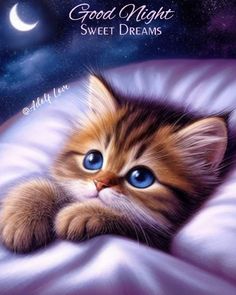 a kitten laying on top of a bed under a night sky with the words good night sweet dreams