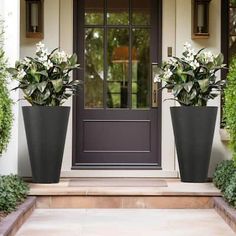 two large planters with white flowers are on the front steps of a house,