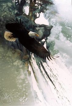 an eagle flying in the sky over some trees and water with snow on it's ground