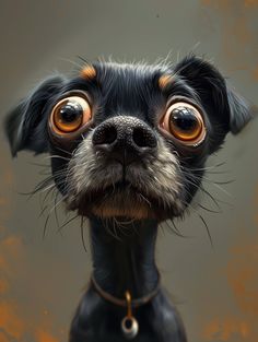 a black dog with orange eyes looking at the camera