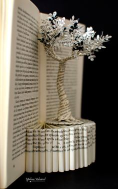 an open book with a tree on top of it