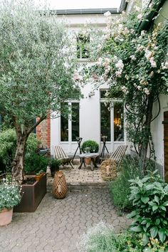 an outdoor patio area with potted plants and trees in front of the house, surrounded by greenery