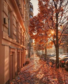 the sun shines brightly on a leaf covered sidewalk in front of buildings and parked cars