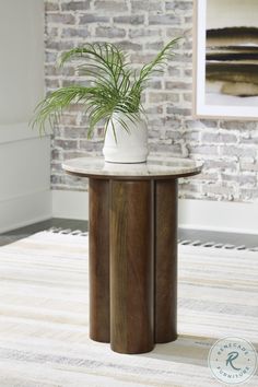 a potted plant sitting on top of a wooden table